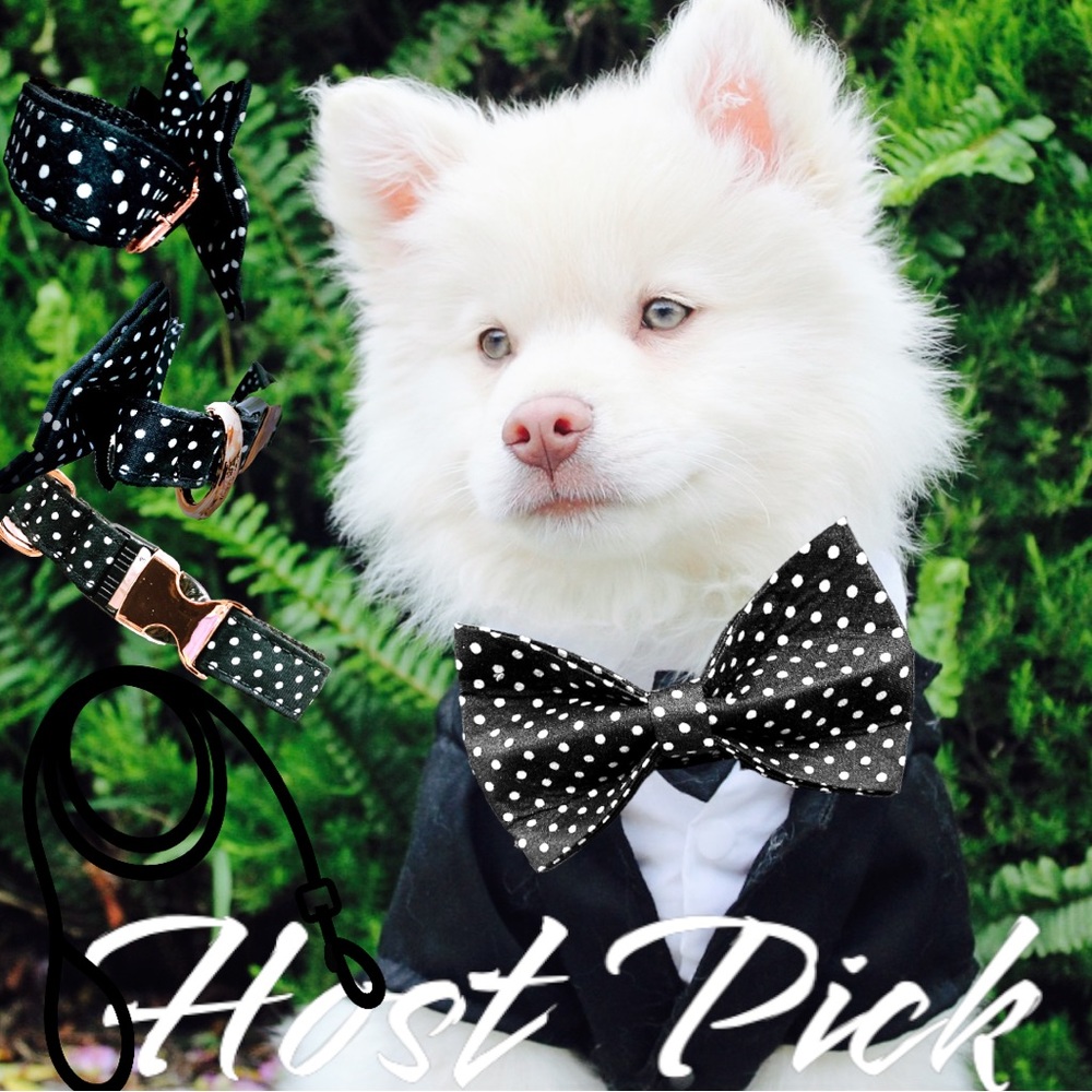 🐾Luxury Dog Collar with Bow Tie ~ Limited Edition ~ Pets ~ OSFM ~Host Pick x9